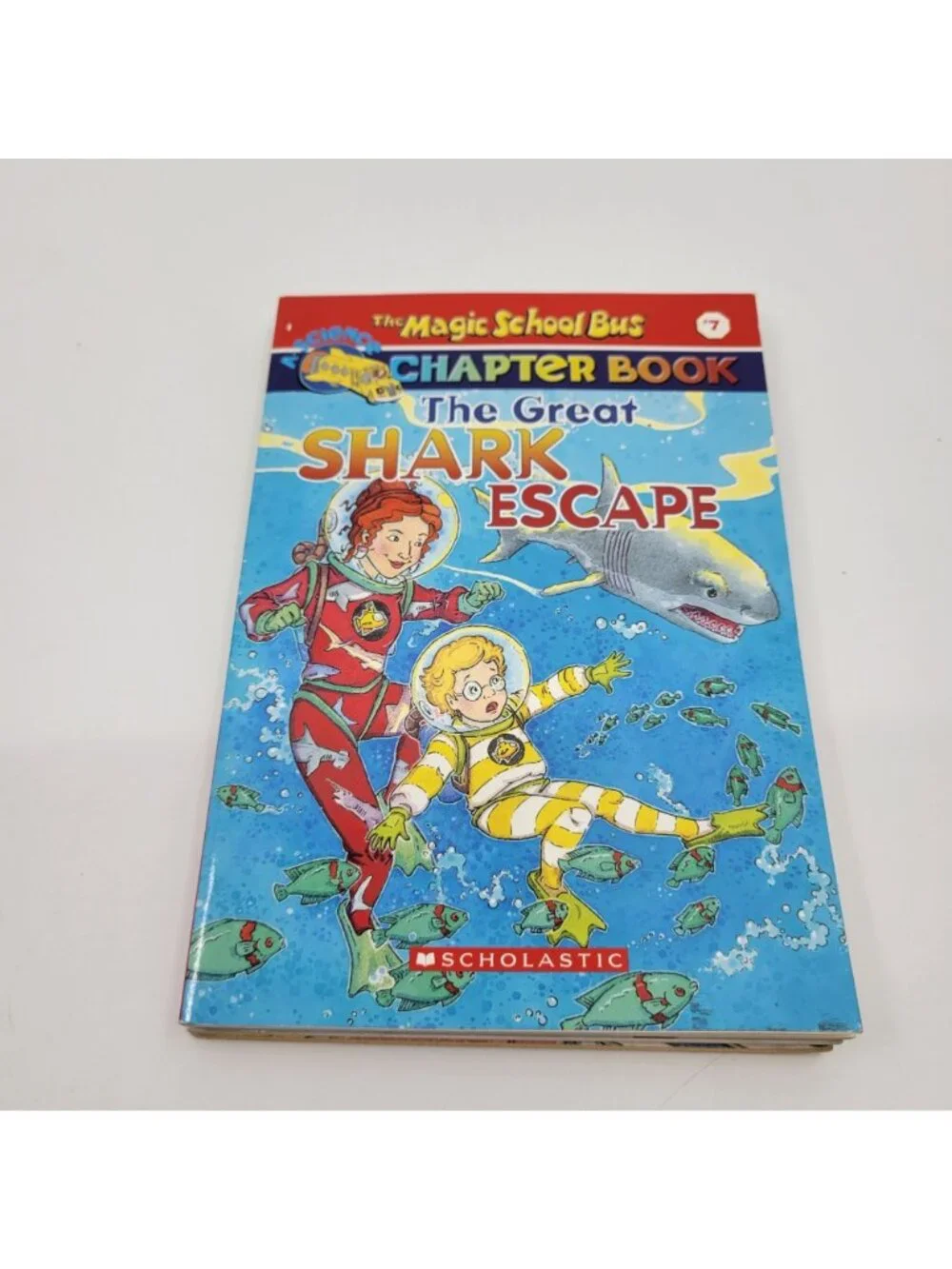 MAGIC SCHOOL BUS Lot of 7 Science Chapter Books - CB022